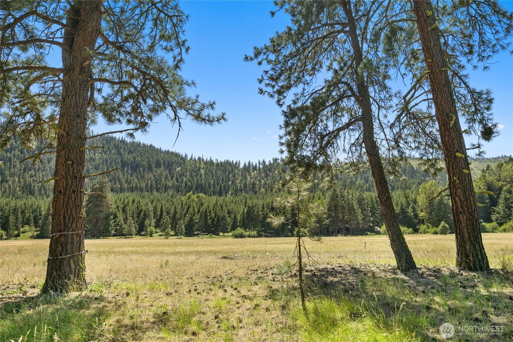 18 Domerie Park Loop , Cle Elum, WA 98922