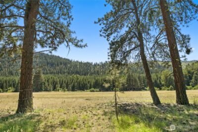 18 Domerie Park Loop , Cle Elum, WA 98922 - Photo 3
