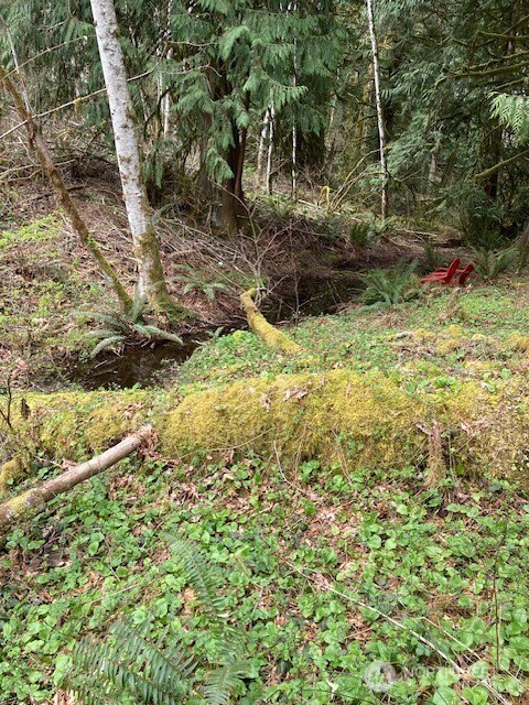 300 N Goldeneye Drive , Hoodsport, WA 98548