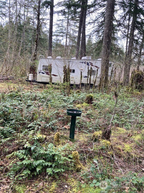 300 N Goldeneye Drive , Hoodsport, WA 98548