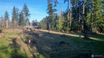 443 Elma Hicklin rd W, McCleary, WA 98557 - Photo 1