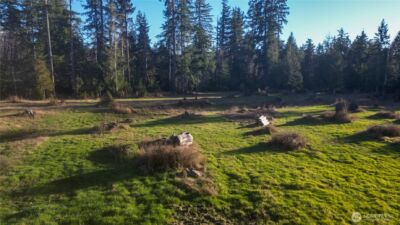 443 Elma Hicklin rd W, McCleary, WA 98557 - Photo 2