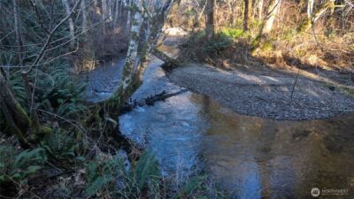 443 Elma Hicklin rd W, McCleary, WA 98557 - Photo 3