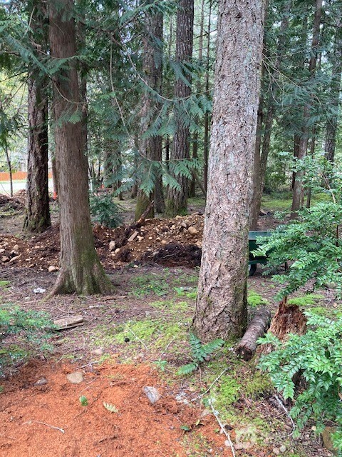 101 N Mt. Jupiter Drive , Hoodsport, WA 98548