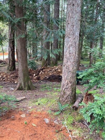 101 N Mt. Jupiter Drive , Hoodsport, WA 98548 - Photo 2