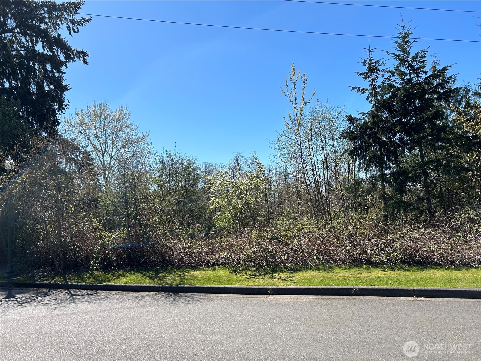 301 Wild Rose Street , Tacoma, WA 98466