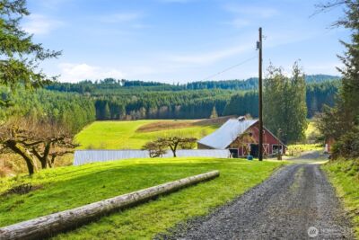 211 Echo Road , Rochester, WA 98579 - Photo 13