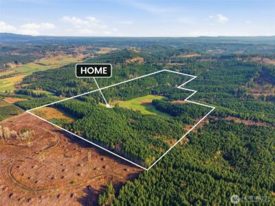 211 Echo Road , Rochester, WA 98579 - Photo 4