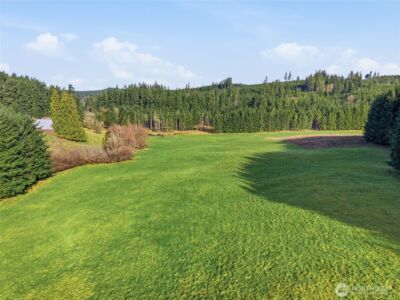 211 Echo Road , Rochester, WA 98579 - Photo 9