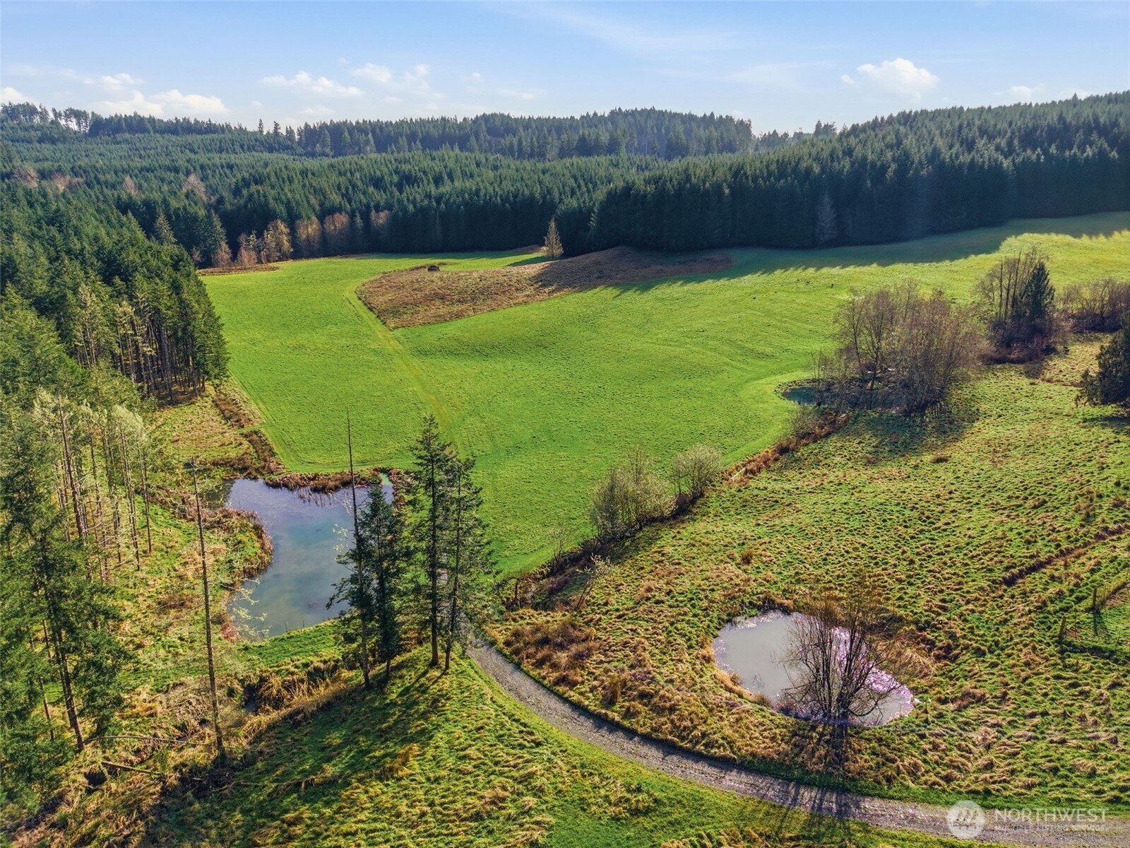 211 Echo Road , Rochester, WA 98579