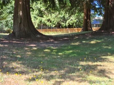 0 Brownsville Hwy Road , Poulsbo, WA 98370 - Photo 12