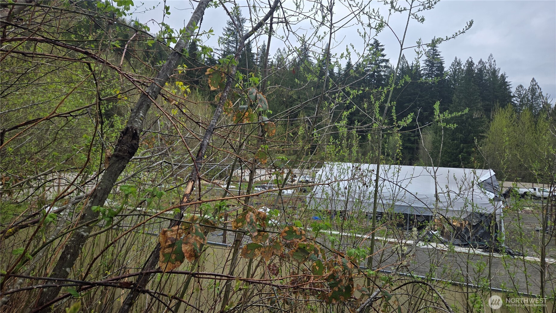 5898 Mt Baker Highway , Deming, WA 98244