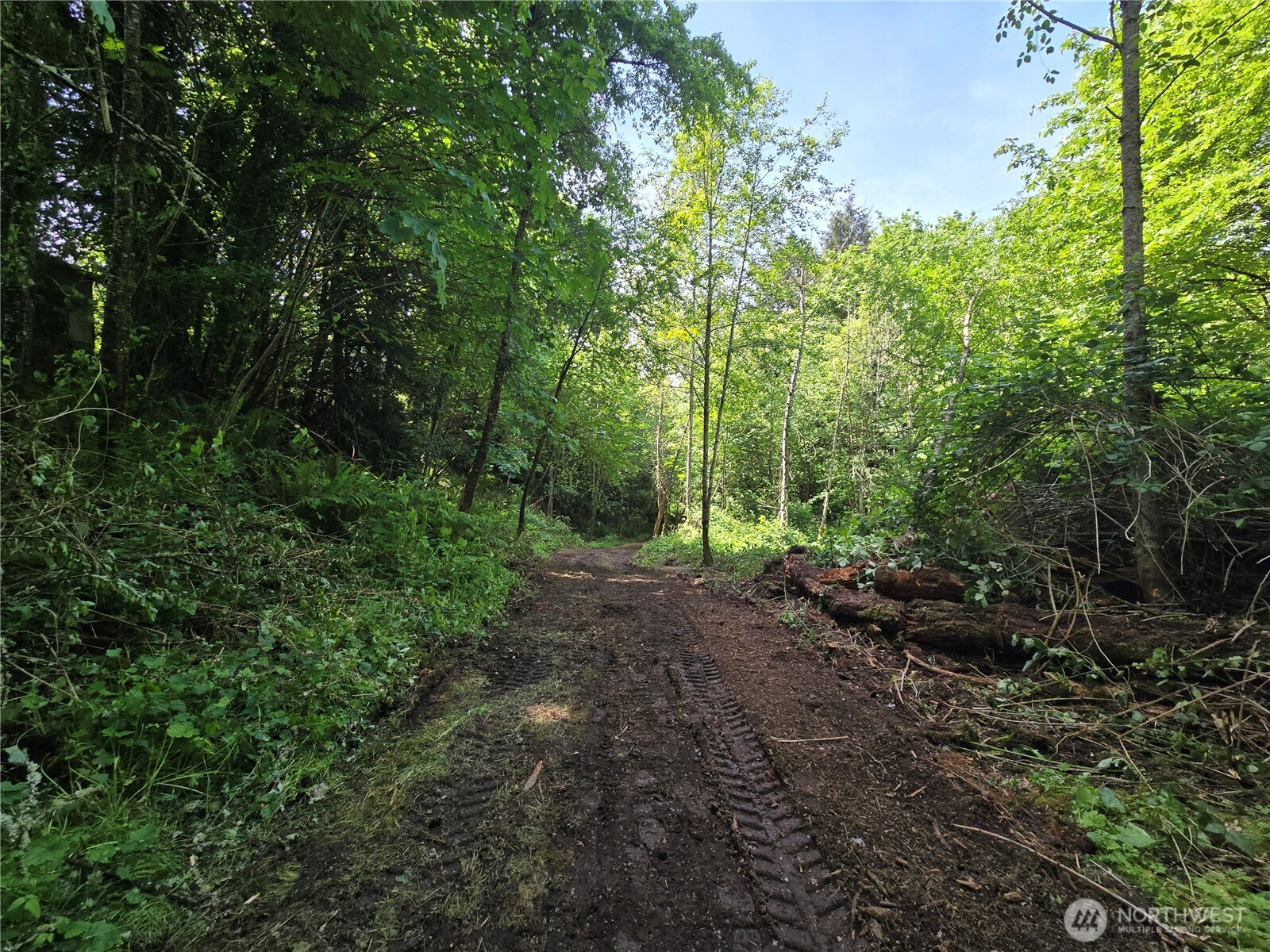 160 XX 193rd Ave SE , Renton, WA 98058