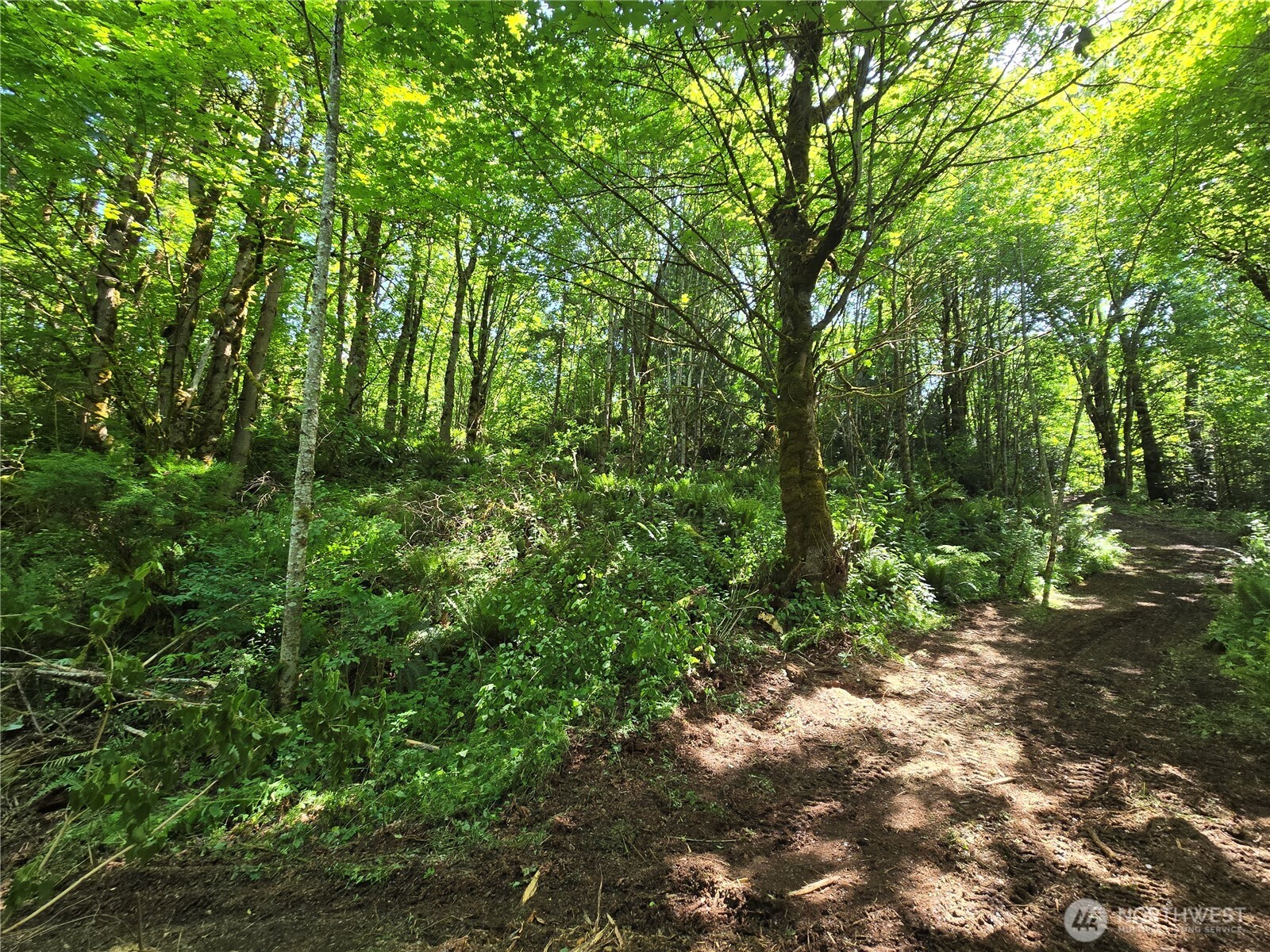 160 XX 193rd Ave SE , Renton, WA 98058