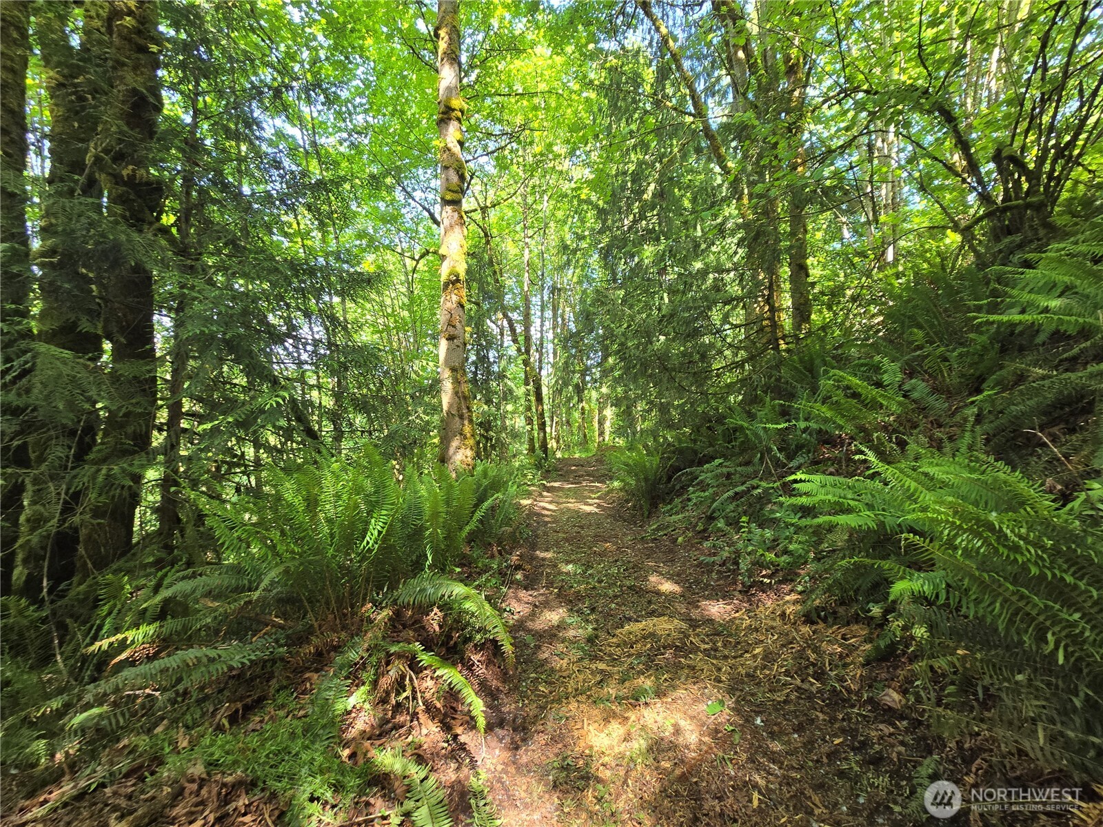 160 XX 193rd Ave SE , Renton, WA 98058