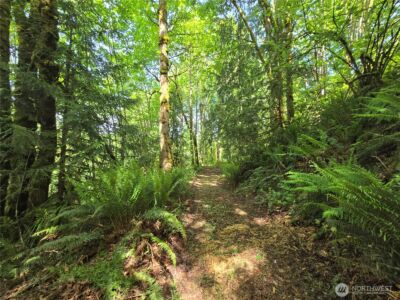 160 XX 193rd Ave SE , Renton, WA 98058 - Photo 19