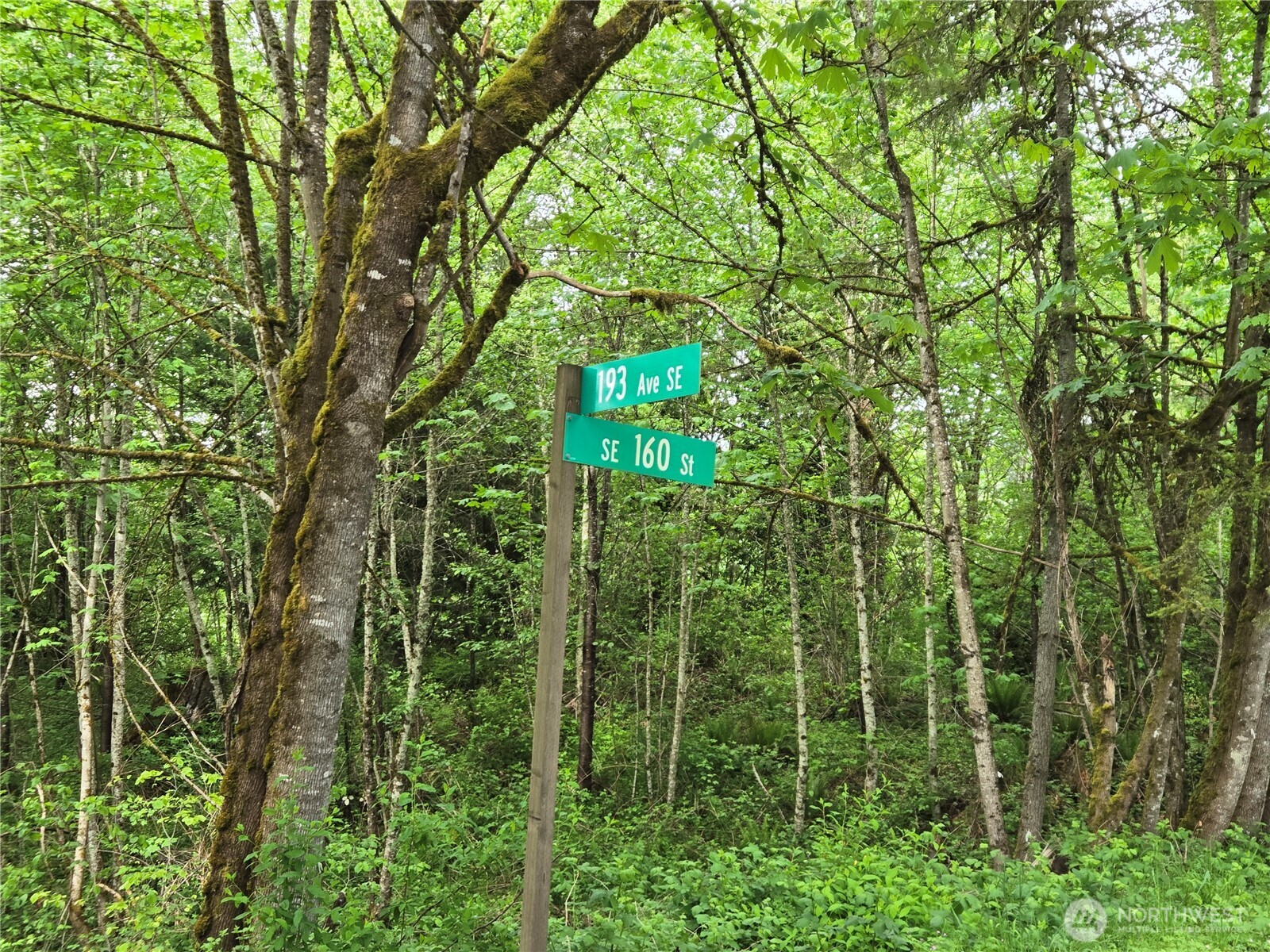 160 XX 193rd Ave SE , Renton, WA 98058