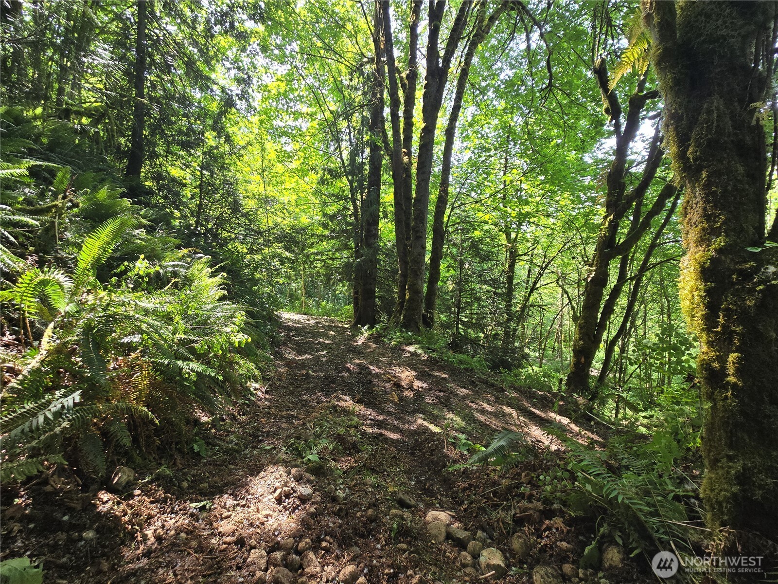 160 XX 193rd Ave SE , Renton, WA 98058