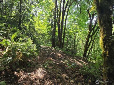 160 XX 193rd Ave SE , Renton, WA 98058 - Photo 23