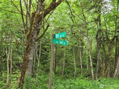 160 XX 193rd Ave SE , Renton, WA 98058 - Photo 3