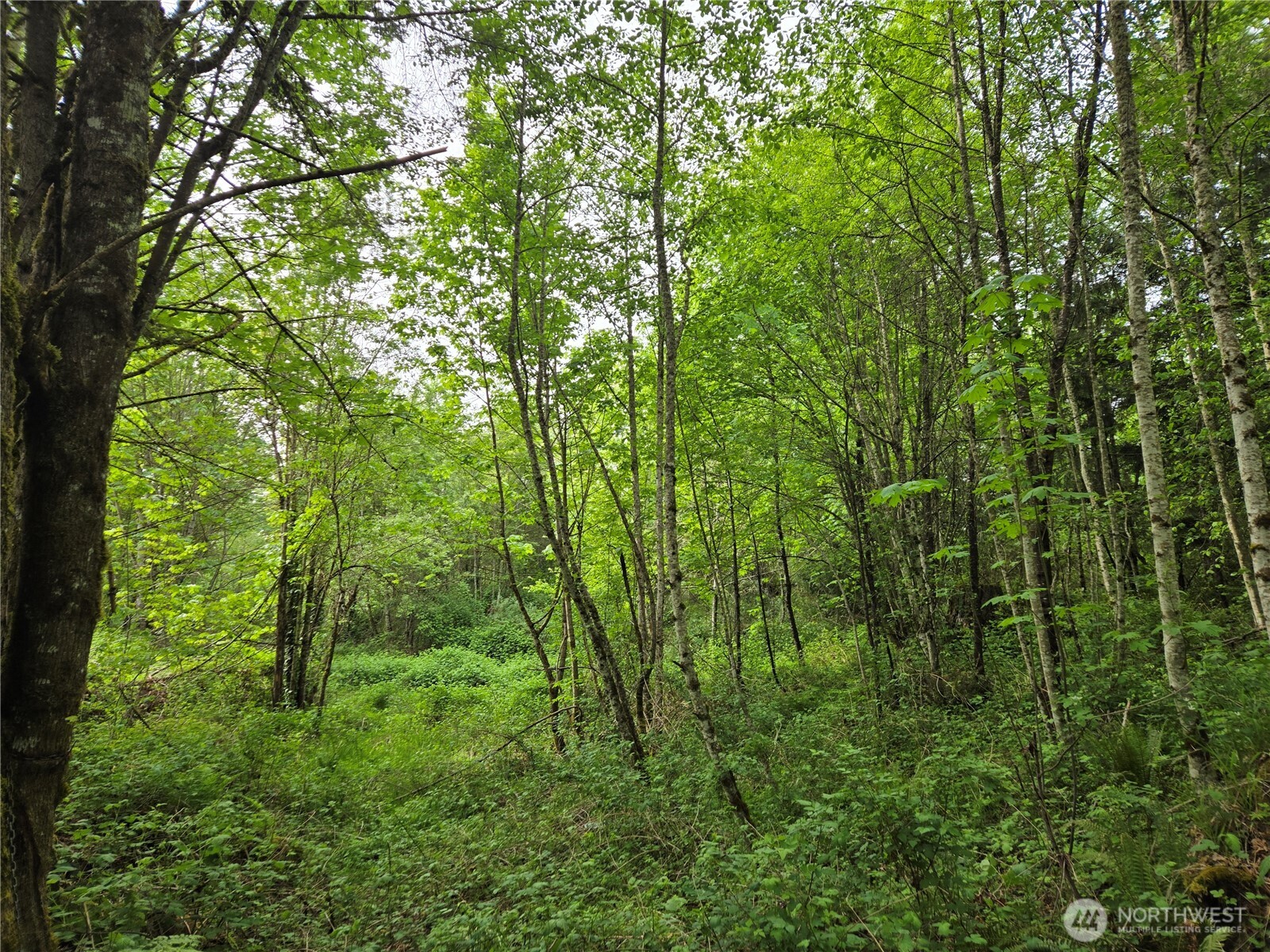 160 XX 193rd Ave SE , Renton, WA 98058