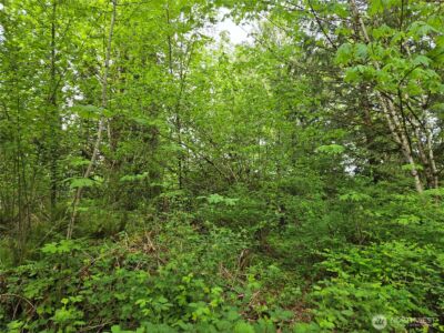 160 XX 193rd Ave SE , Renton, WA 98058 - Photo 8