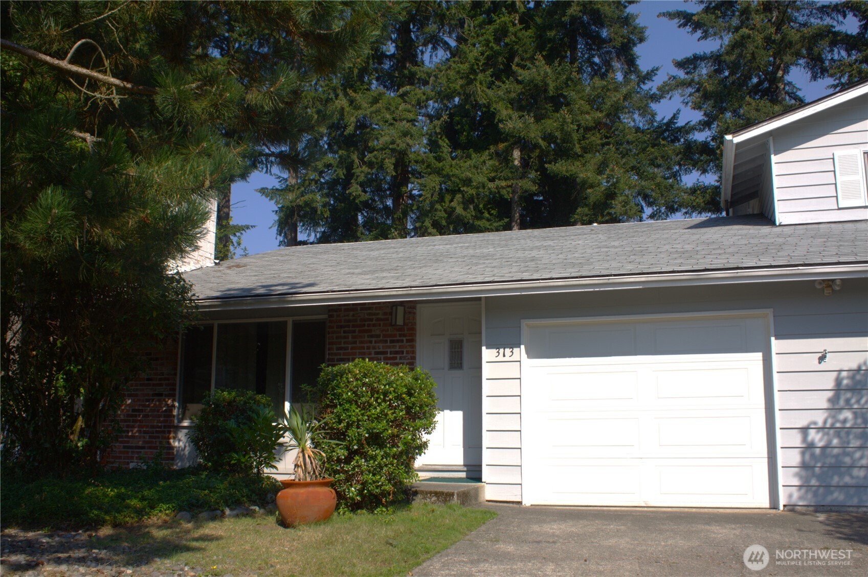 313 & 315 146th Place NE, Bellevue, WA 98007