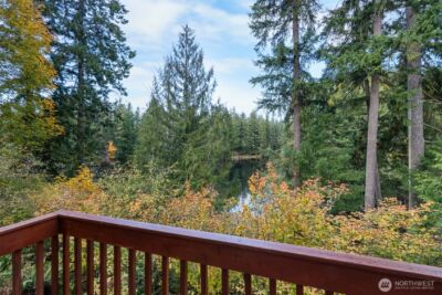 22318 Blue Lake Court SE, Yelm, WA 98597 - Photo 15