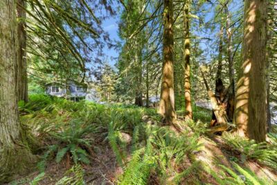 14 Woodpecker Place , Bellingham, WA 98229