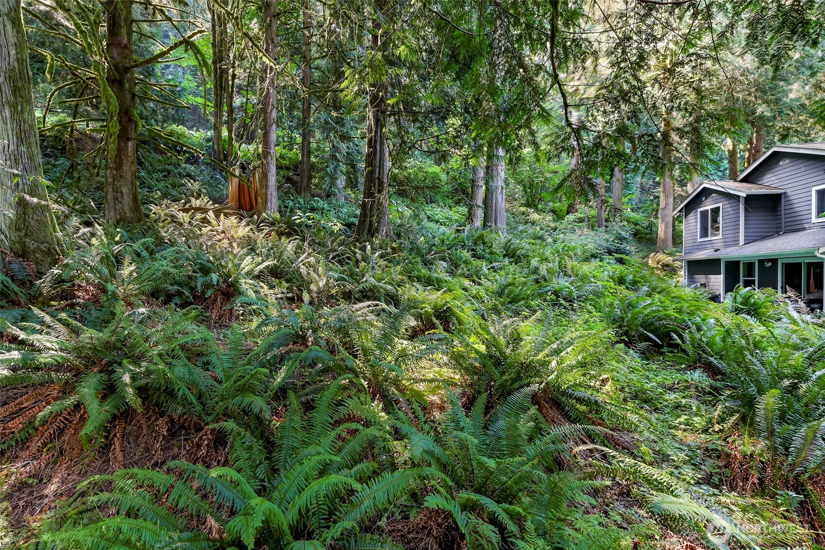 14 Woodpecker Place , Bellingham, WA 98229