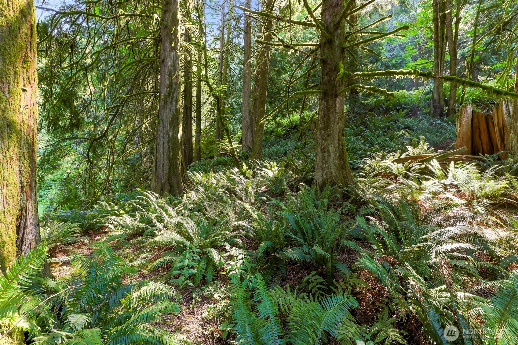 14 Woodpecker Place , Bellingham, WA 98229