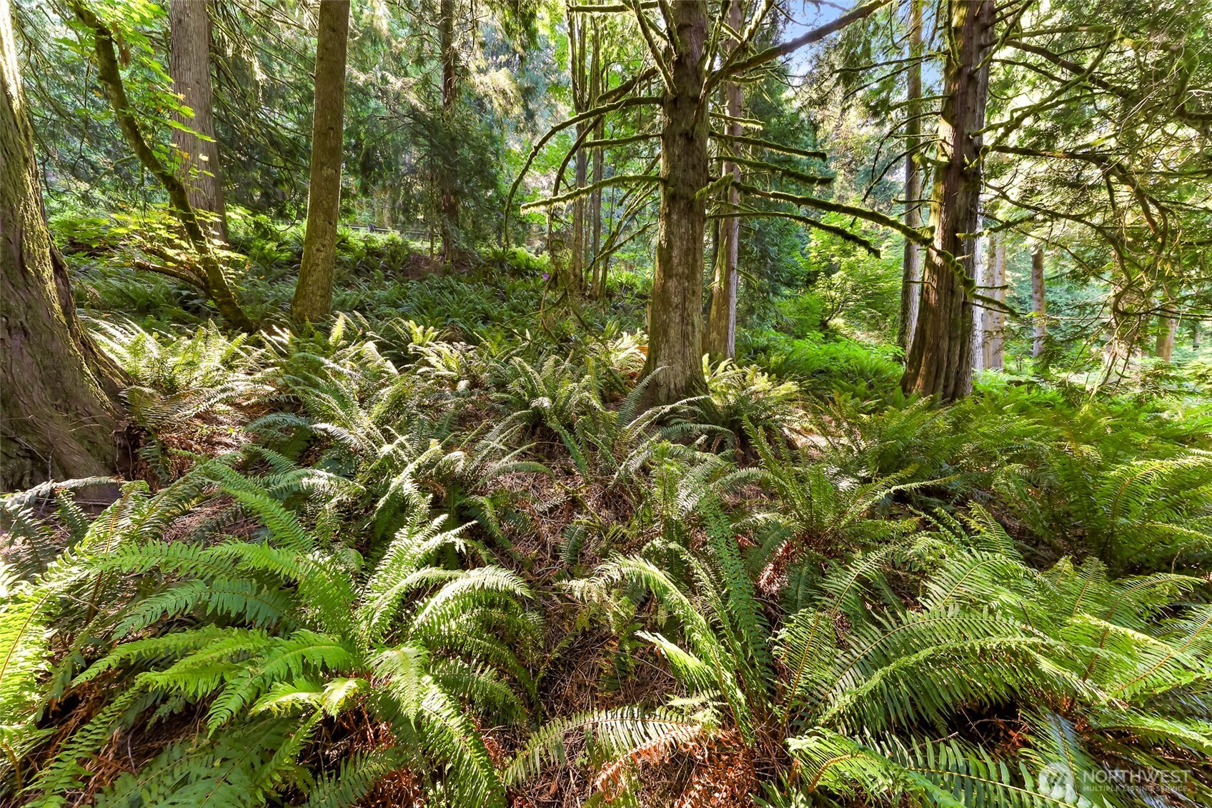 14 Woodpecker Place , Bellingham, WA 98229