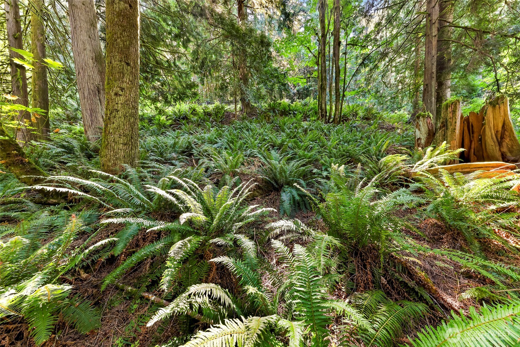 14 Woodpecker Place , Bellingham, WA 98229