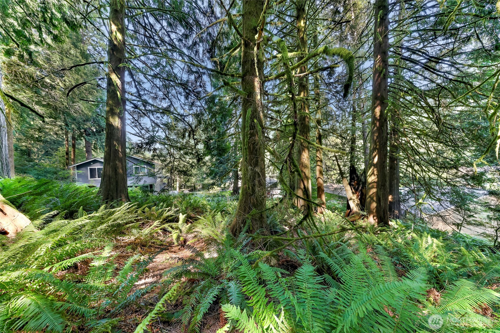 14 Woodpecker Place , Bellingham, WA 98229