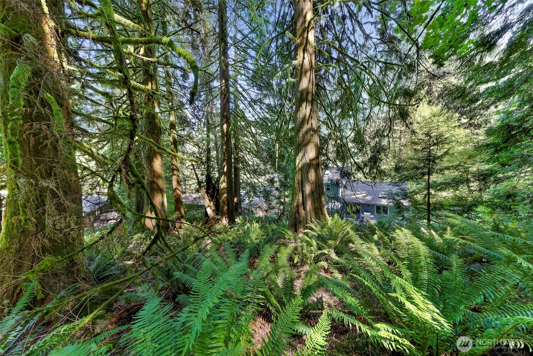 14 Woodpecker Place , Bellingham, WA 98229