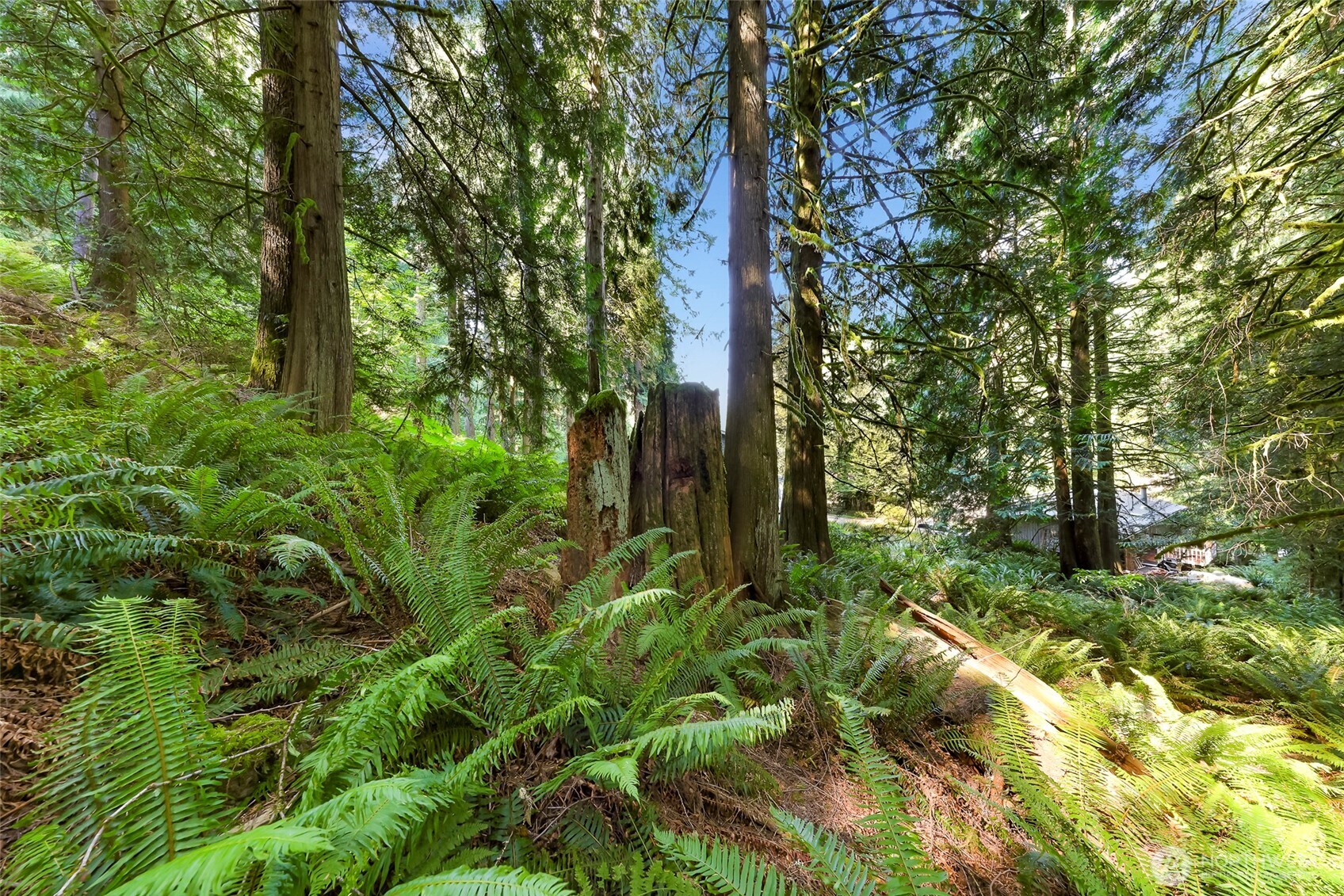 14 Woodpecker Place , Bellingham, WA 98229