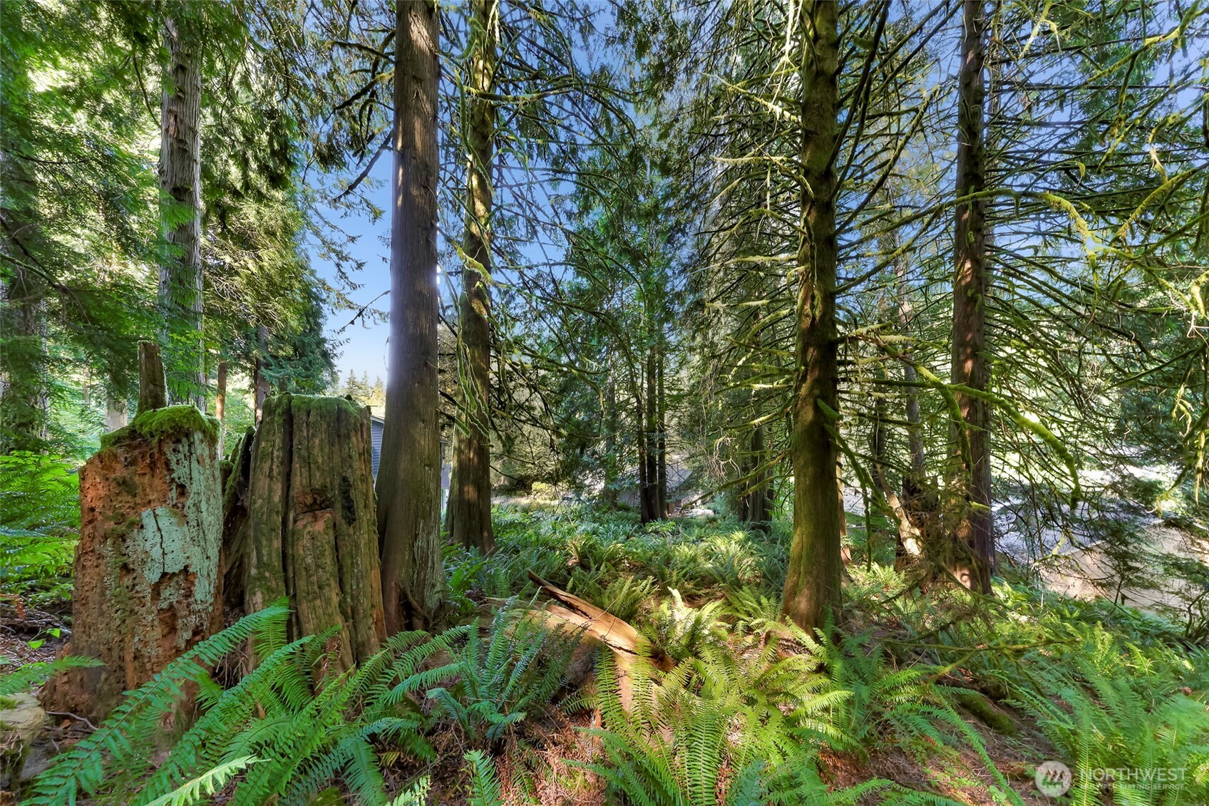 14 Woodpecker Place , Bellingham, WA 98229