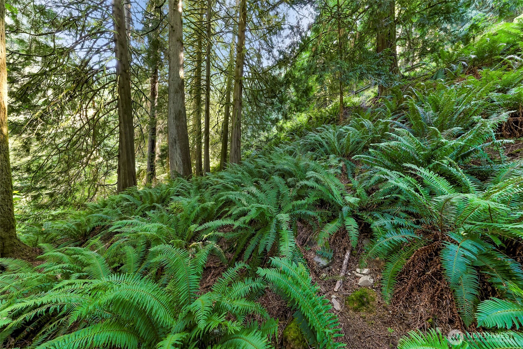 14 Woodpecker Place , Bellingham, WA 98229