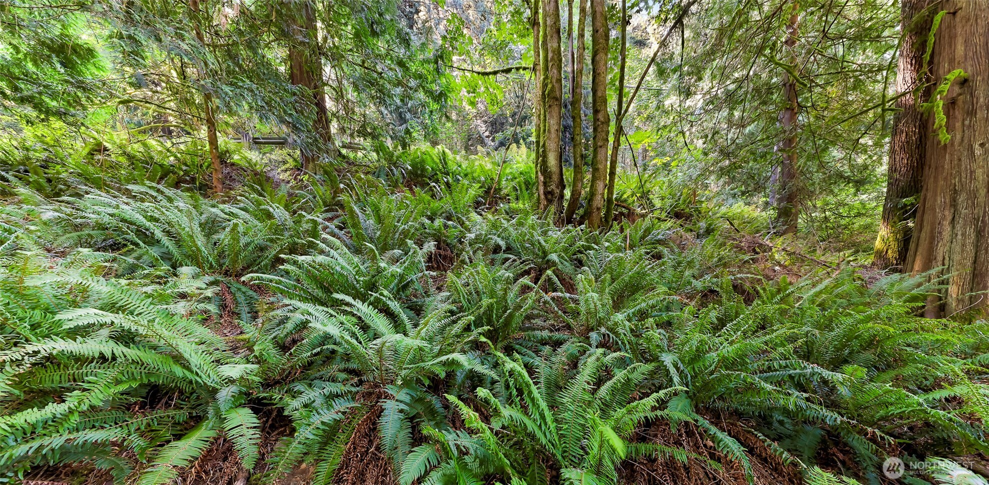 14 Woodpecker Place , Bellingham, WA 98229