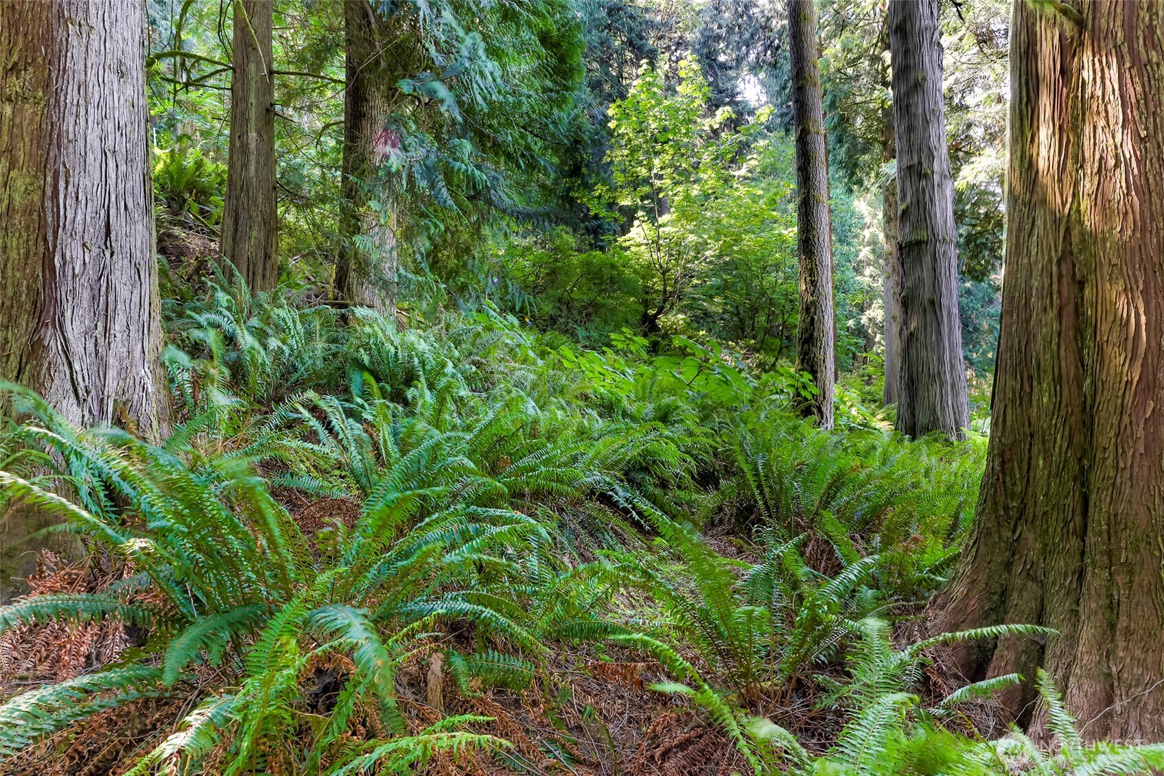 14 Woodpecker Place , Bellingham, WA 98229