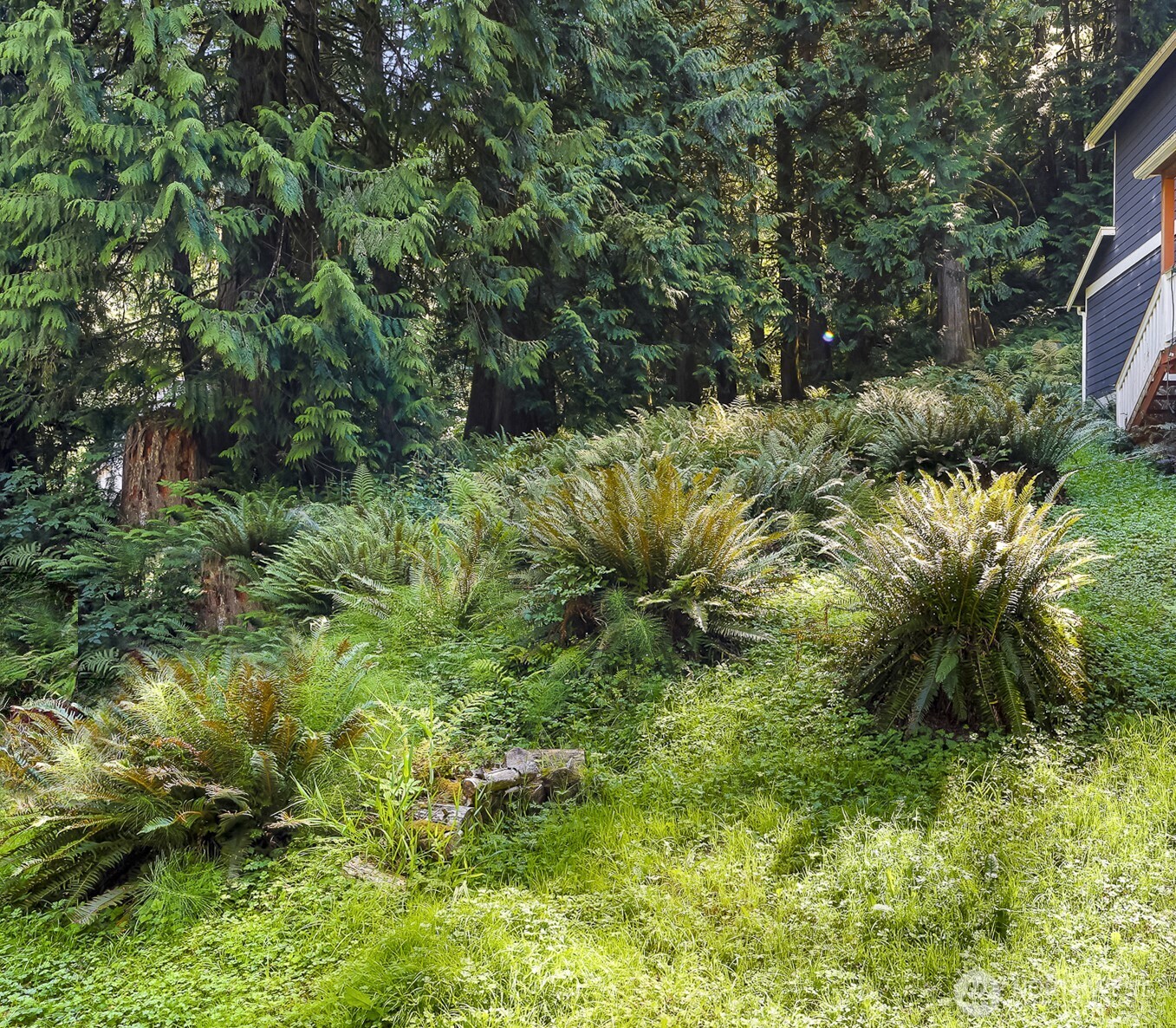 14 Woodpecker Place , Bellingham, WA 98229