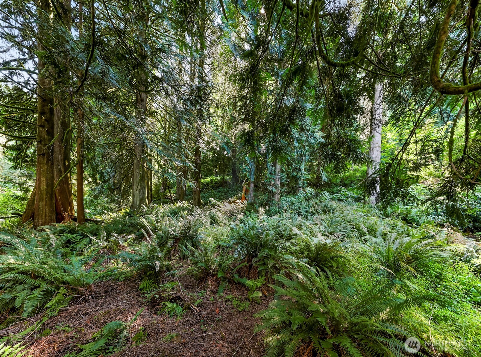 14 Woodpecker Place , Bellingham, WA 98229