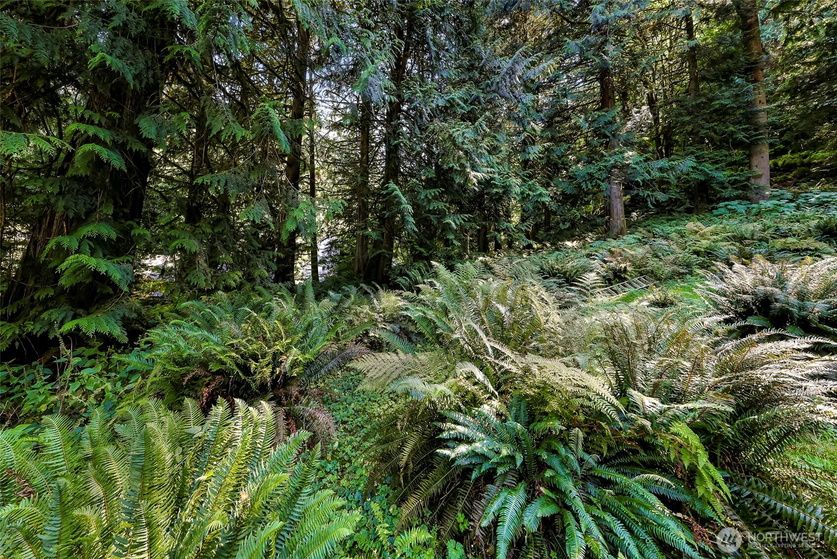 14 Woodpecker Place , Bellingham, WA 98229