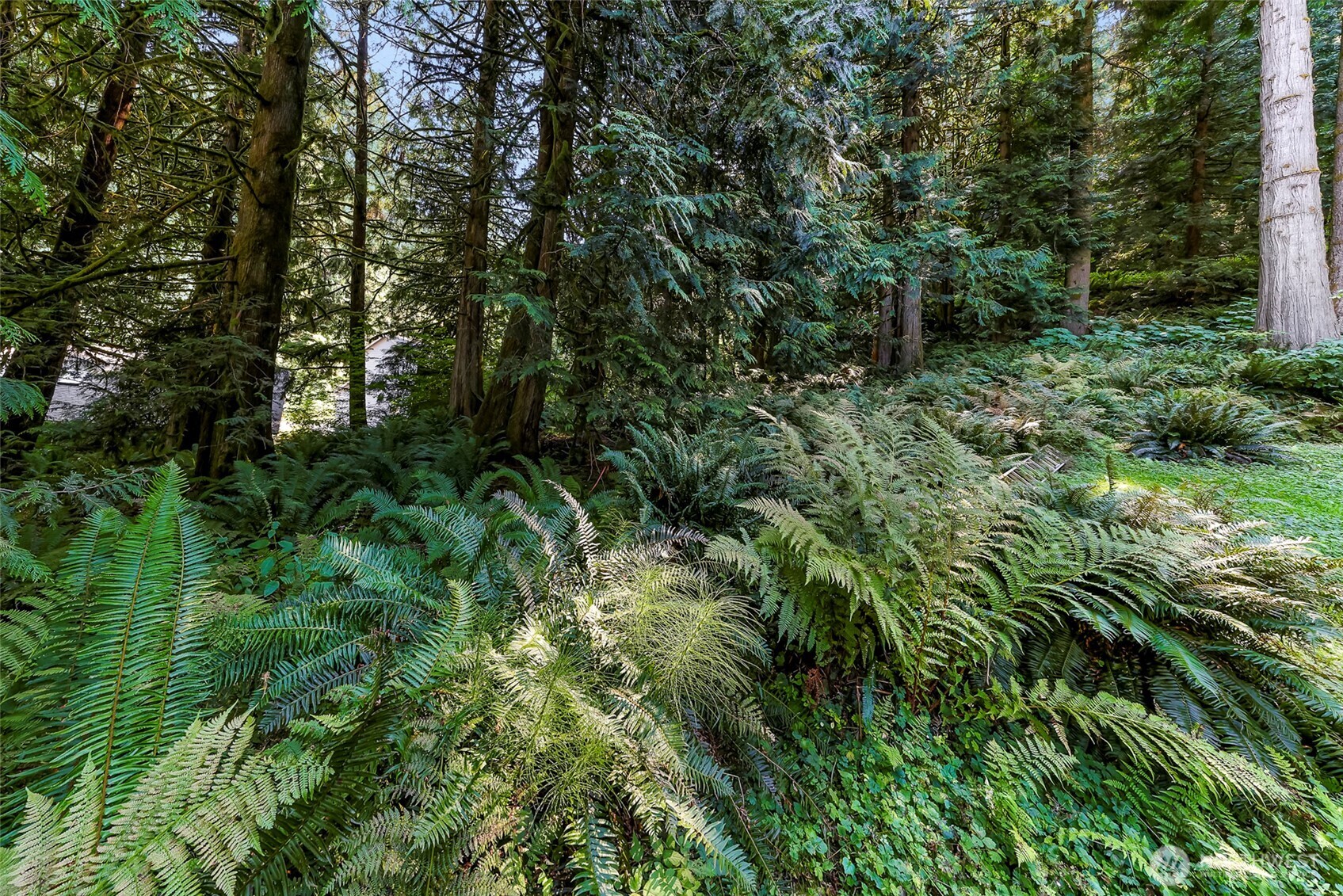 14 Woodpecker Place , Bellingham, WA 98229