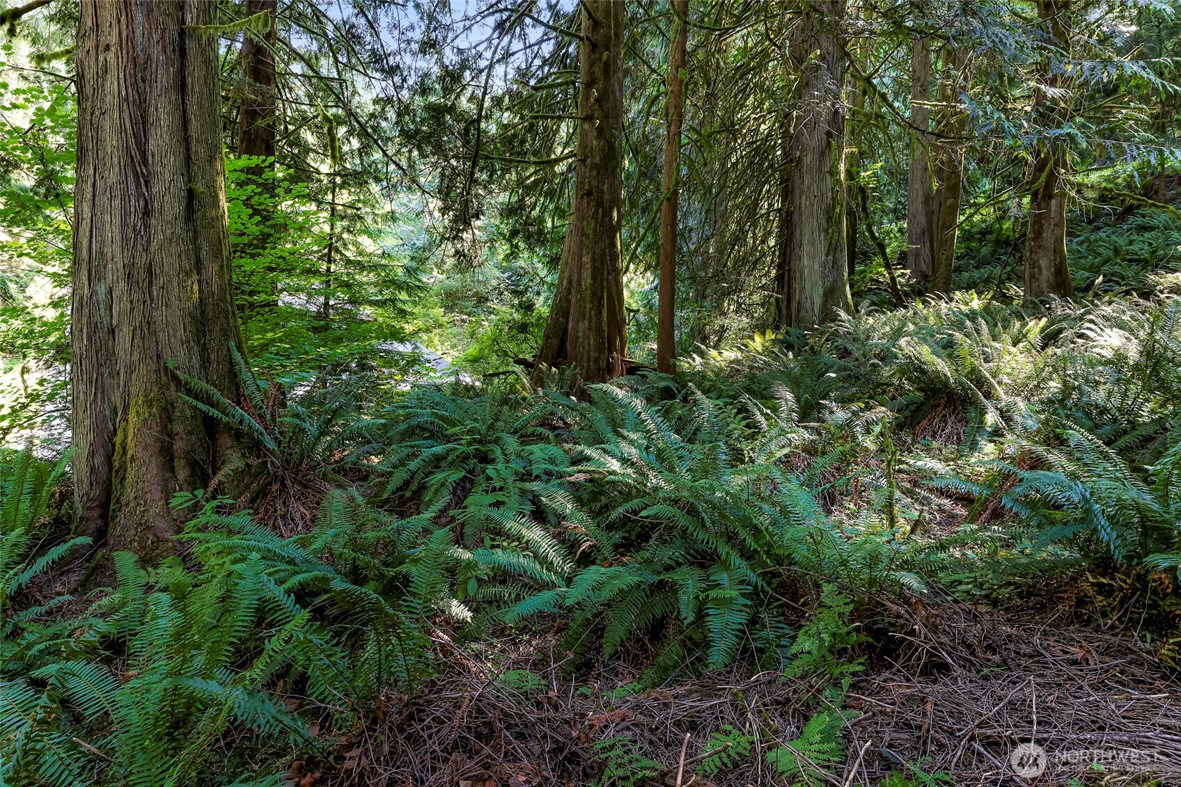 14 Woodpecker Place , Bellingham, WA 98229