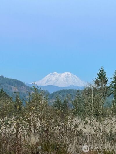 0 0 Salmon Creek Road #0, Mossyrock, WA 98564 - Photo 1