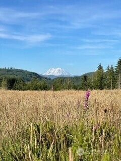 0 0 Salmon Creek Road #0, Mossyrock, WA 98564 - Photo 2