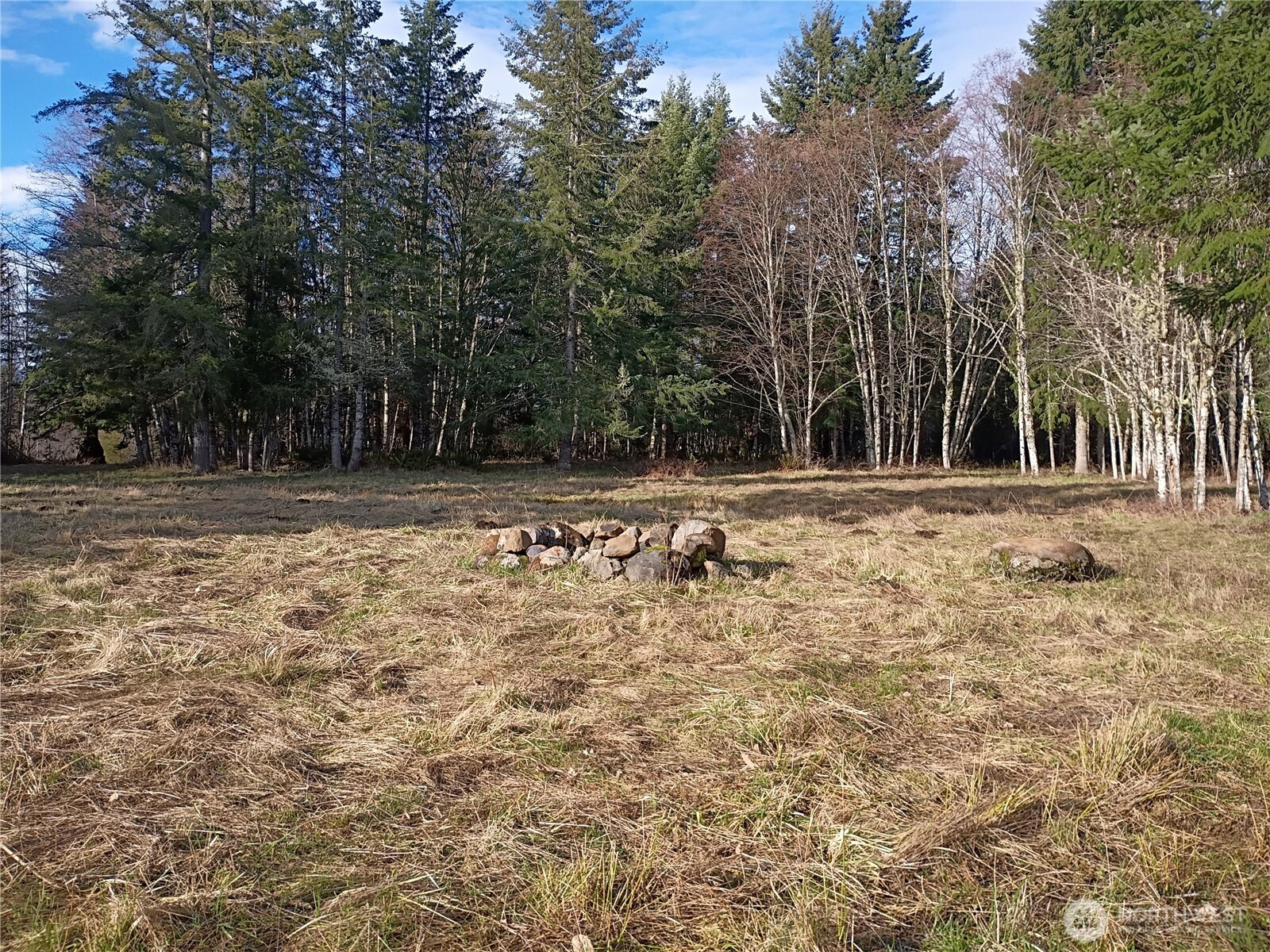 0 0 Salmon Creek Road #0, Mossyrock, WA 98564