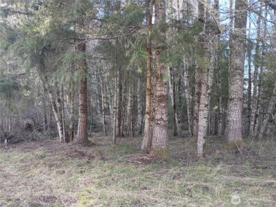 0 0 Salmon Creek Road #0, Mossyrock, WA 98564 - Photo 6