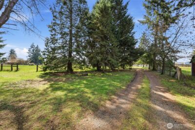 10022 Grove Road SE, Yelm, WA 98597-9648 - Photo 9